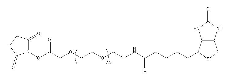 Biotin-PEG-NHS