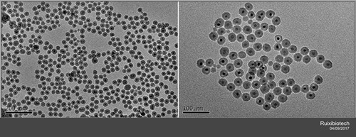SiO2/Fe3O4 Magnetic nanoparticles