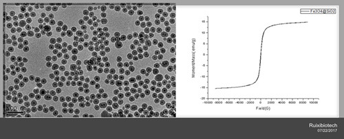 SiO2/Fe3O4 Magnetic nanoparticles,amine function