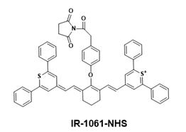 IR-1061-NHS ester