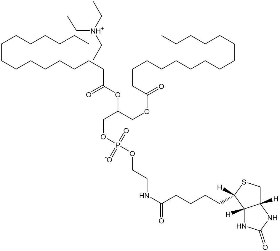 Biotin DHPE,cas:136235-58-0