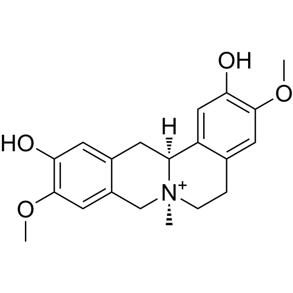 Phellodendrine CAS No.6873-13-8