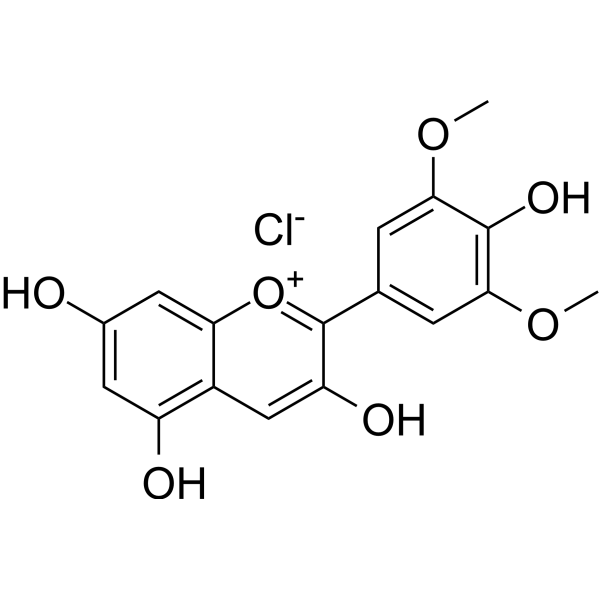 Malvidin chloride CAS No.643-84-5
