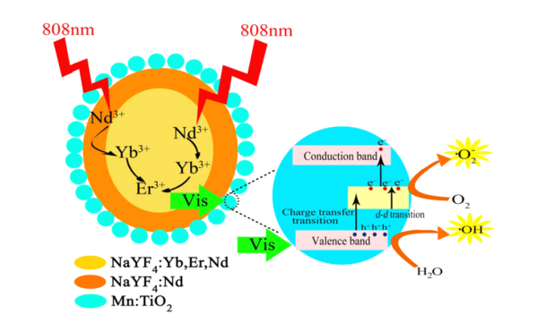 NaYF4:Yb,Er,Nd@NaYF4:Nd Upconversion Nanocrystals Capped with Mn:TiO2, 808 nm excitation