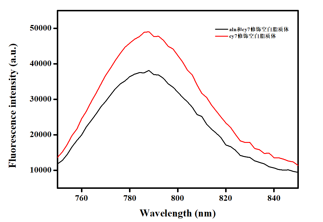 CY7 labeled blank liposomes (100-200nm)