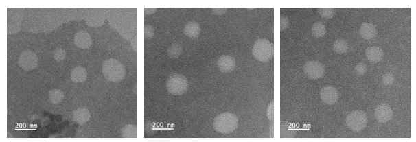 Fluorescent DID Liposomal Bacterial Membrane Encapsulation Gado-DPTA