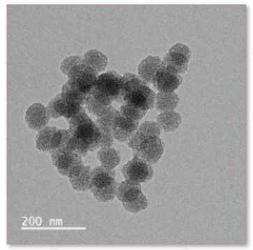 Tannic acid manganese@serine nanoparticles