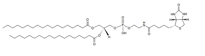 DSPE-Biotin  CAS:133695-76-8