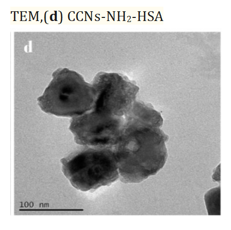 CCNs-NH2-HSA